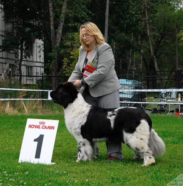 Фотография № 48927