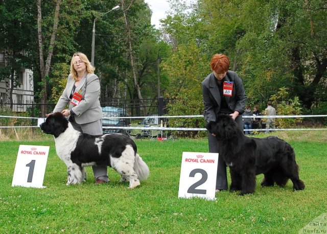 Фотография № 48928