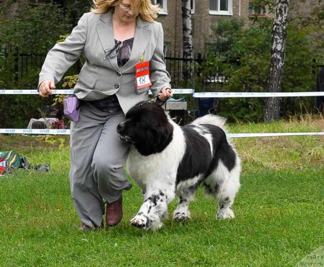 Фотография № 48929