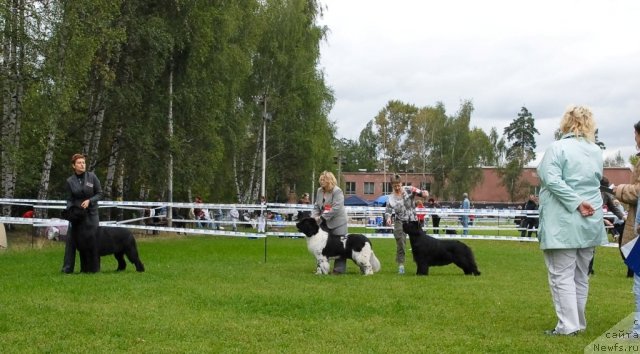 Фотография № 48934