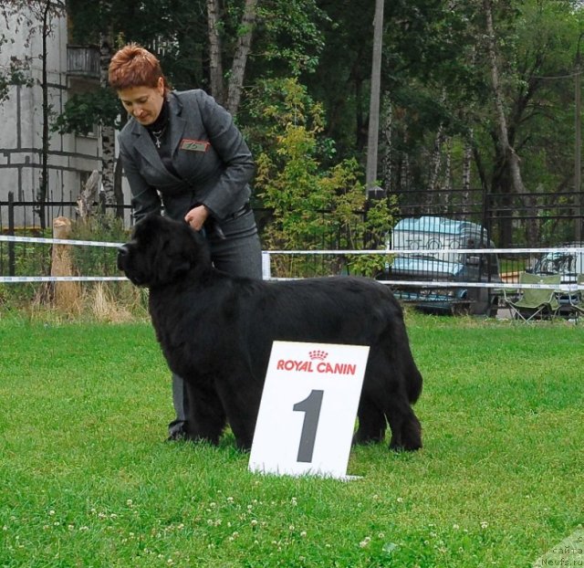 Фотография № 48935