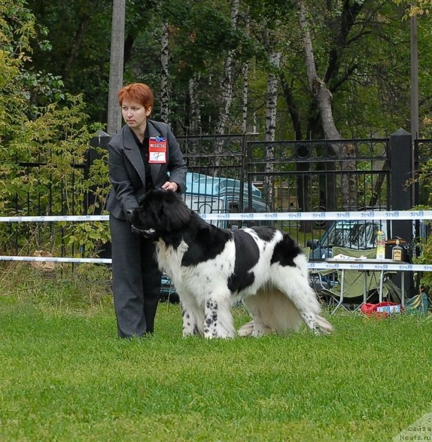 Фотография № 48937