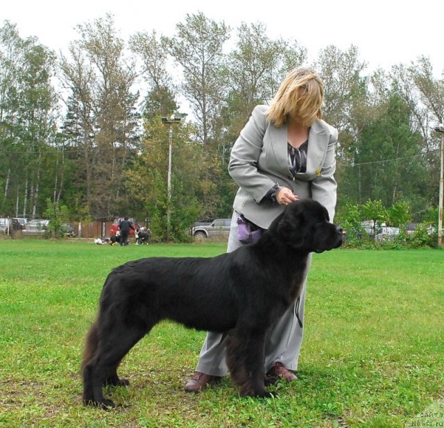 Фотография № 49025