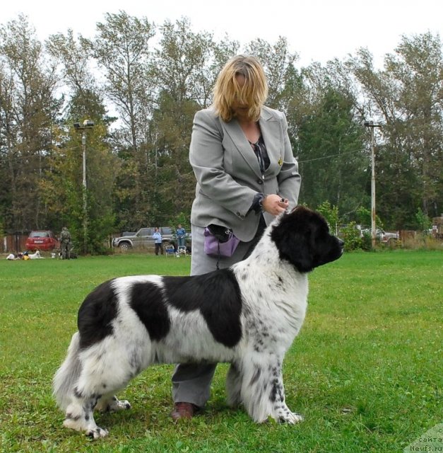 Фотография № 49029