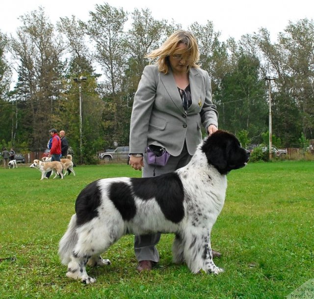 Фотография № 49030