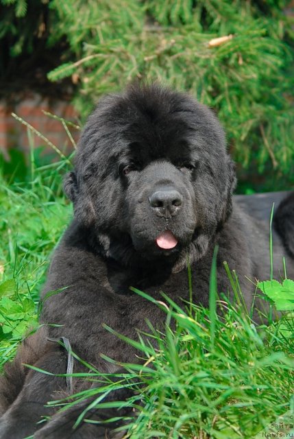 Фотография № 49036