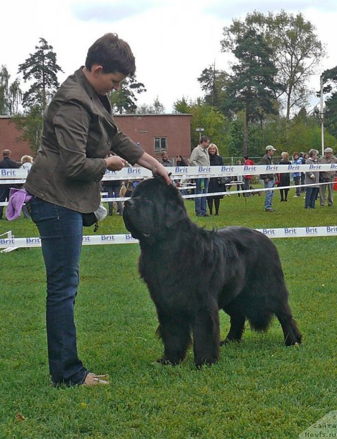 Фотография № 49041