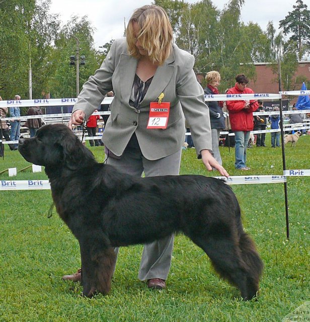 Фотография № 49047