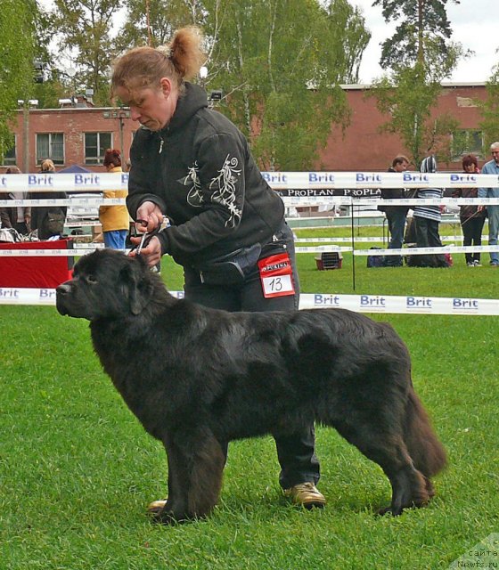 Фотография № 49050