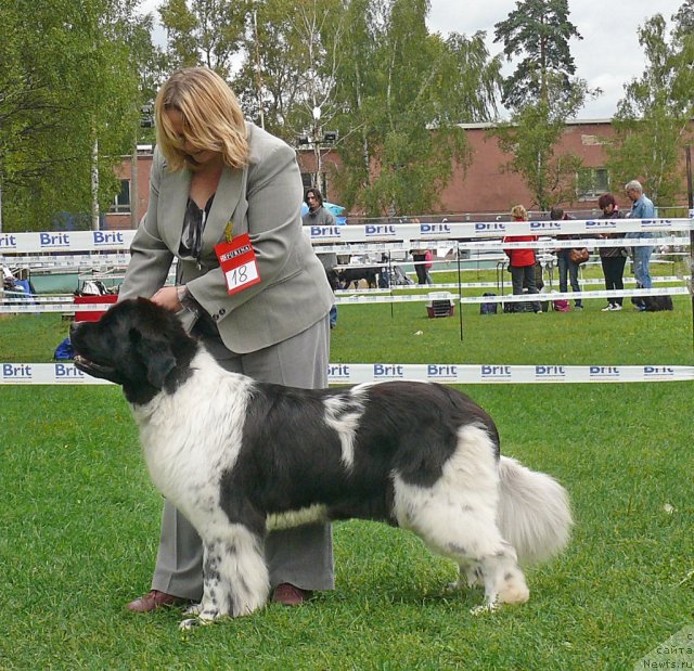 Фотография № 49054