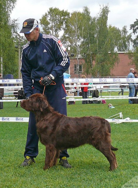 Фотография № 49056