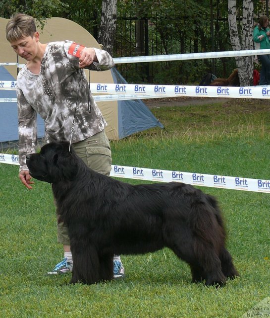 Фотография № 49059