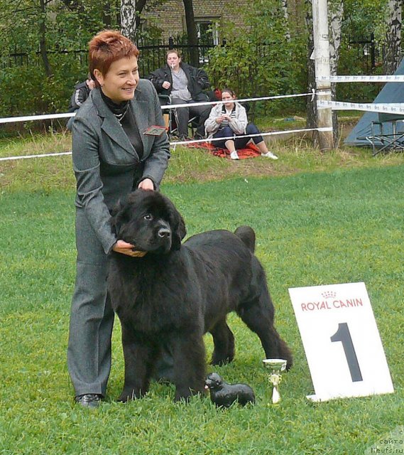 Фотография № 49071