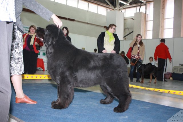 Фотография № 49104