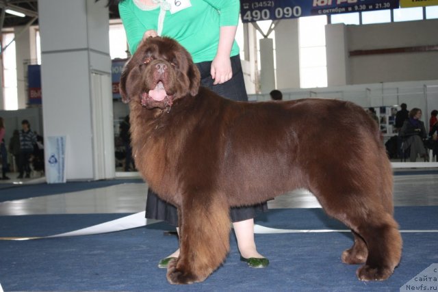 Фотография № 49105