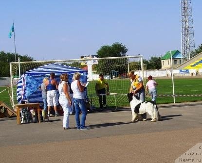 Фотография № 49112