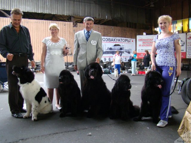 Фото: Плюшевая Панда Сит-Белый Лотос, ньюфаундленд Сент Джонс Тендер Кисс оф Элли (Sent Djons Tender Kiss of Elly), Его Величество от Сибирского Медведя, Интерио Соури  из Медвежьего Яра, Супер Преиум Елисейская Поляна.