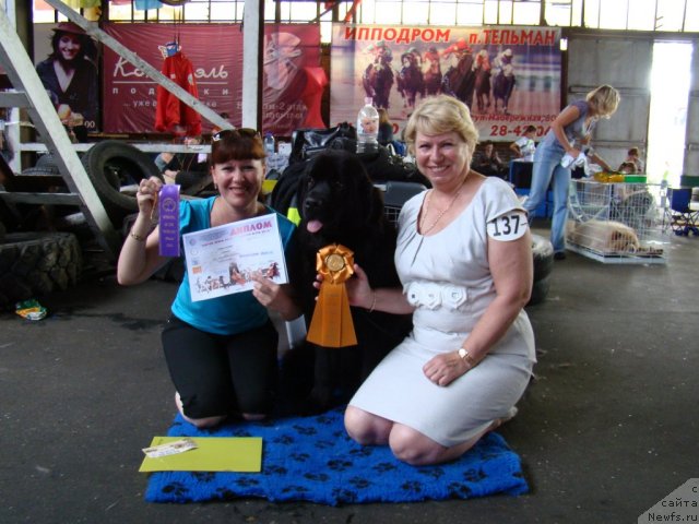 Фотография № 49214