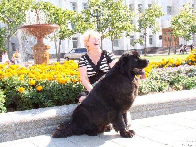 Фотография № 49215