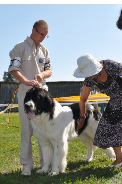 Фотография № 49218