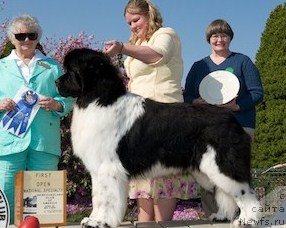 Фотография № 49234