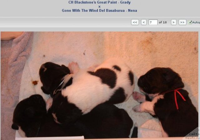 Фотография № 49235