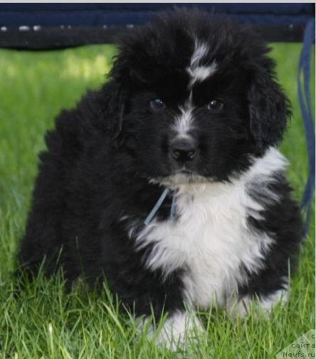 Фотография № 49238