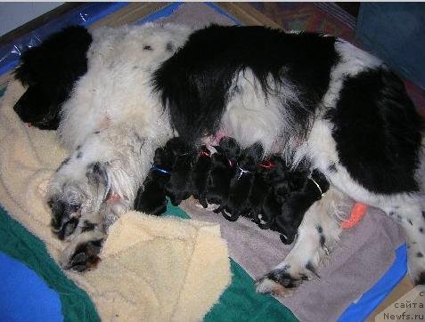 Фотография № 49241