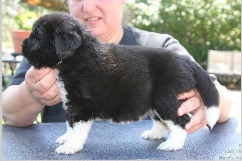 Фотография № 49244