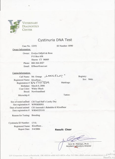 Фото: ньюфаундленд Kloofbears Lancelot for Sent Djons