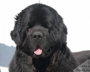 Фотография № 49288