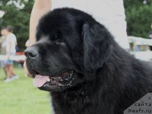 Фотография № 49289