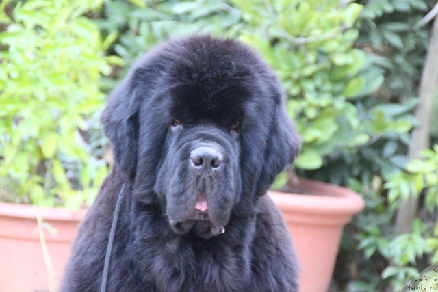 Фотография № 49291