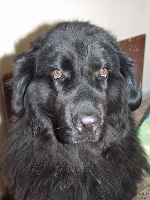 Фото: Сергей Журженко