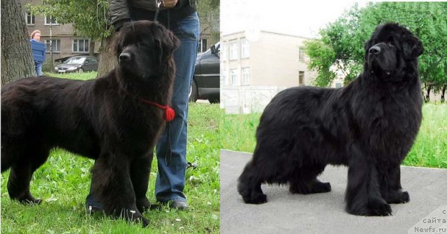 Фотография № 49325