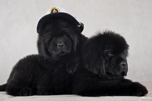 Фотография № 49332