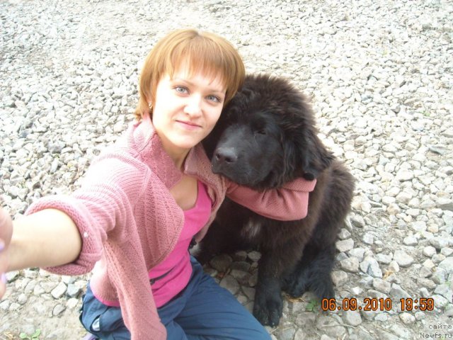 Фото: ньюфаундленд Акватория Келвин Нозерн Спирит (Aquatoriya Kelvin Northern Spirit), Оксана Смольникова