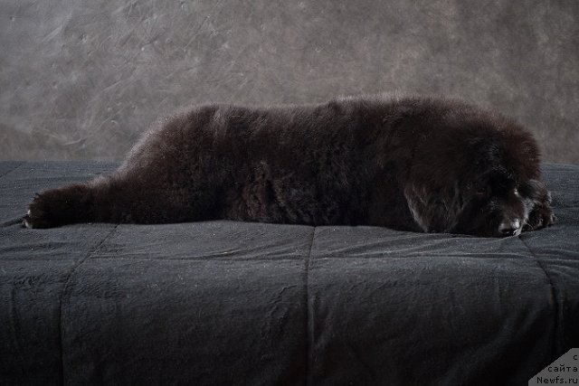 Фотография № 49357