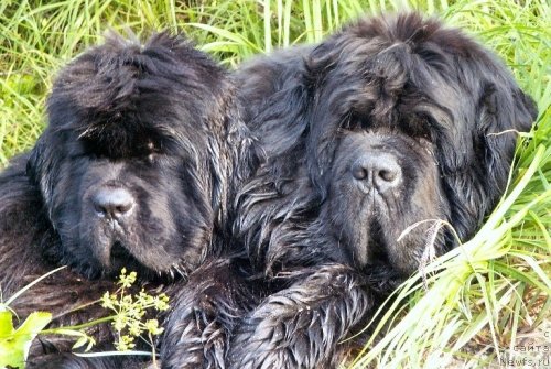 Фотография № 49378