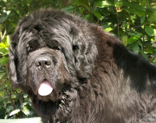 Фотография № 49379