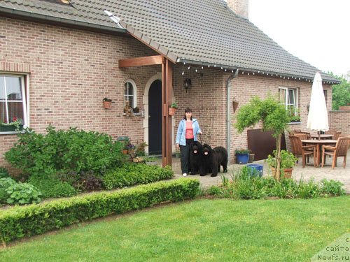 Фото: ньюфаундленд Плюшевая Панда Анабелла Бьютифул (Plushevaya Panda Anabella Beautiful)