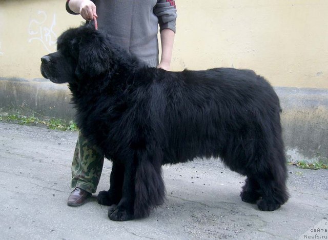 Фотография № 49431