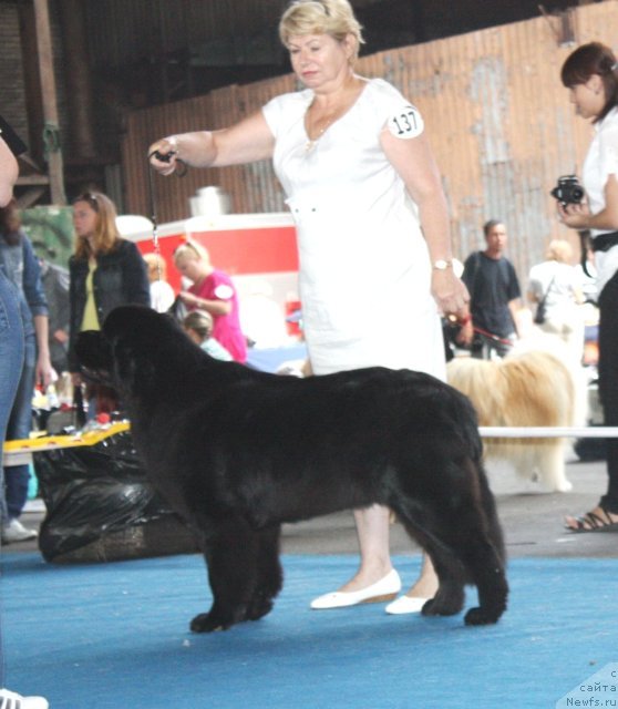 Фотография № 49465