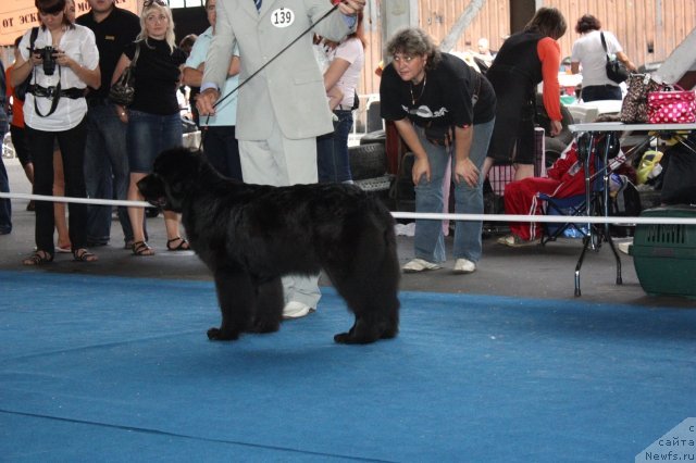 Фотография № 49476