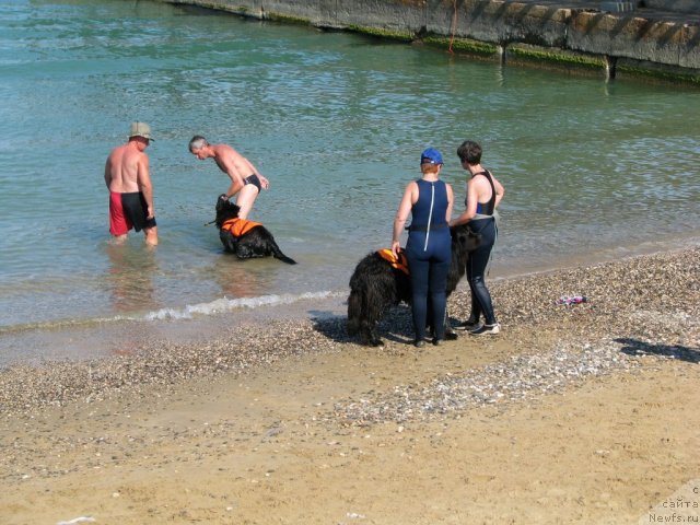 Фотография № 49482