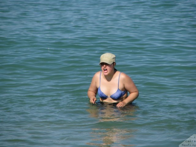 Фотография № 49484