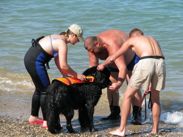 Фотография № 49510