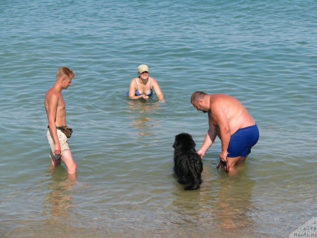 Фотография № 49512