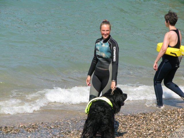 Фотография № 49514