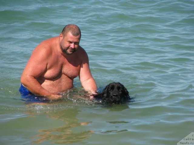 Фотография № 49516